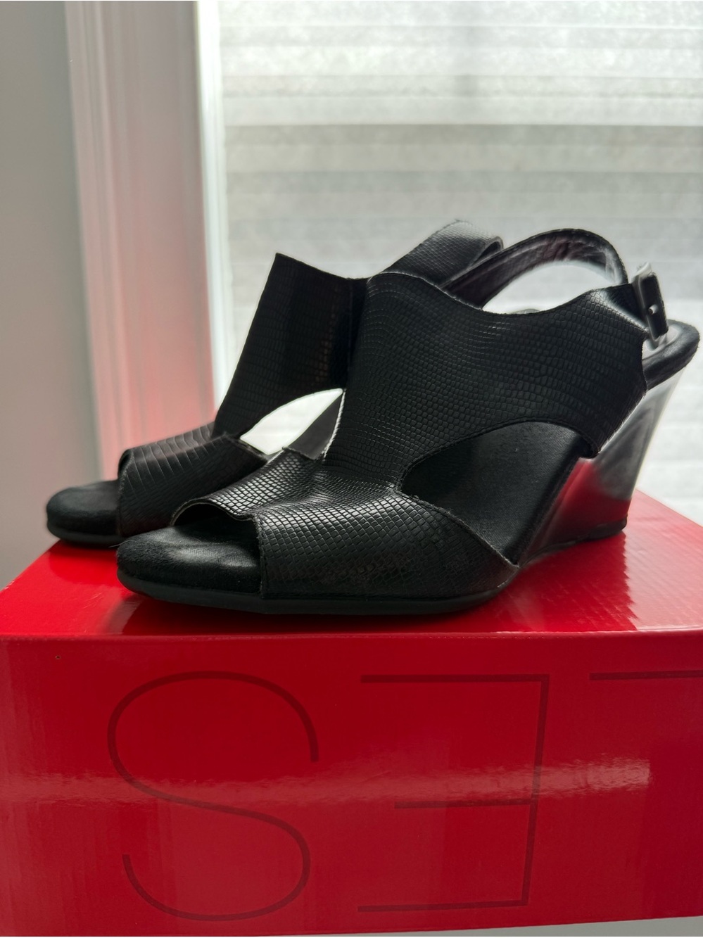 Aerosols Black Women's Peep-Toe Wedge Sandals